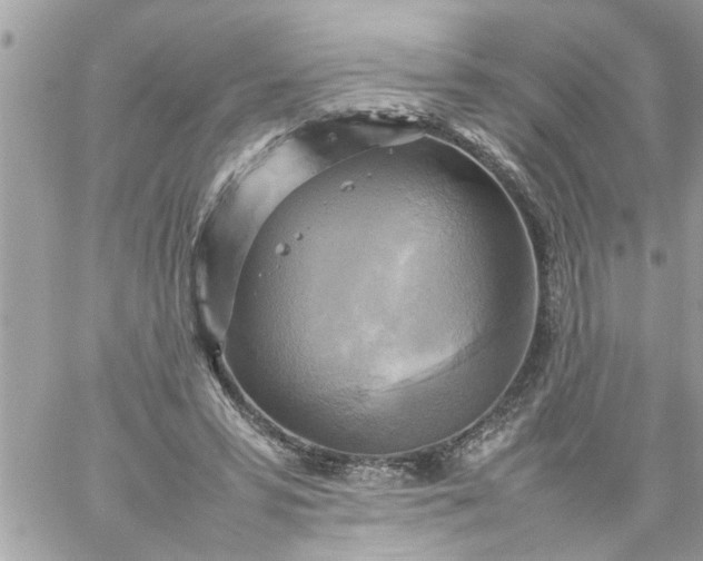 X0000059230399200510281910