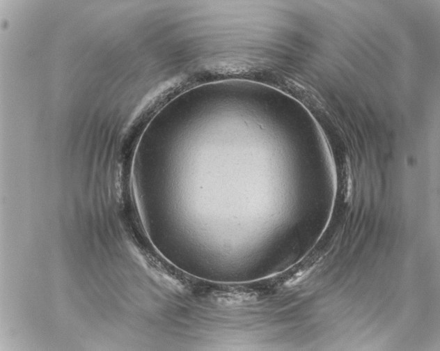 X0000059230400200510281910