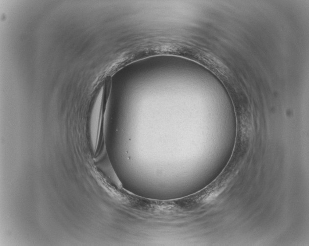 X0000059230401200510281910