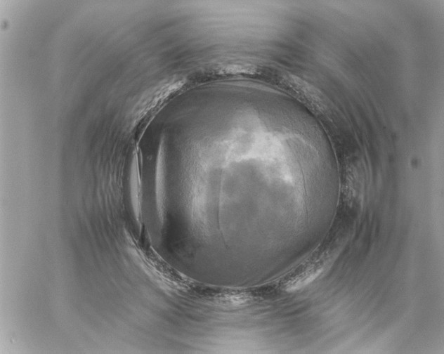 X0000059230402200510281910