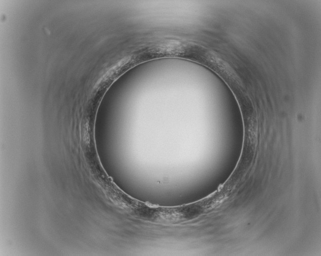 X0000059230403200510281910