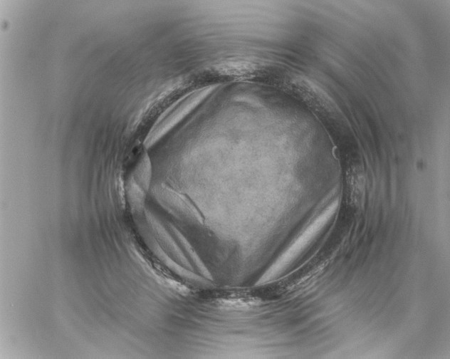 X0000059230404200510281910