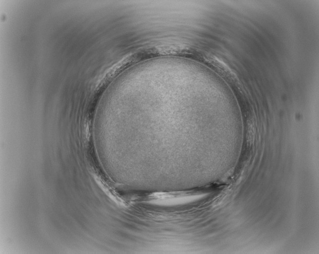 X0000059230405200510281910