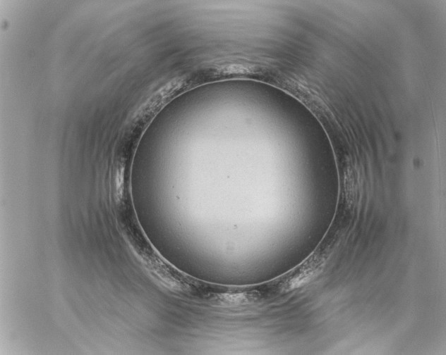 X0000059230406200510281910