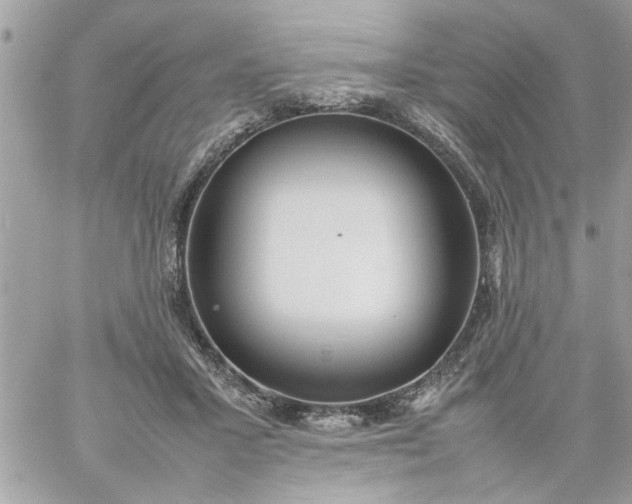 X0000059230407200510281910