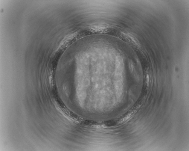 X0000059230408200510281910