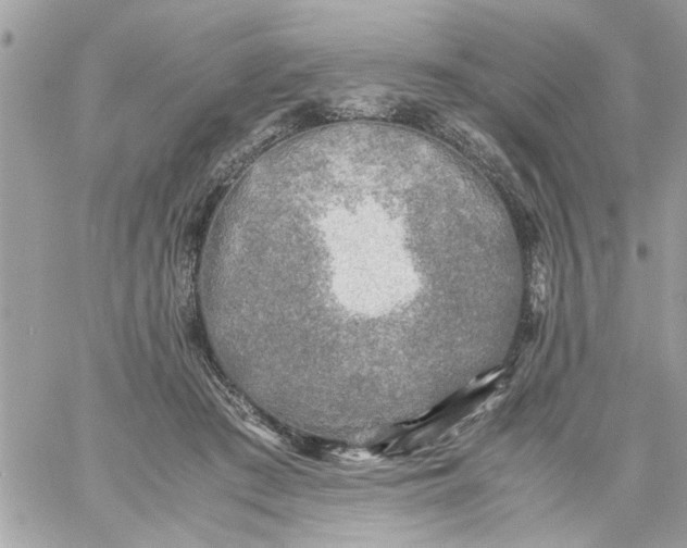 X0000059230409200510281910