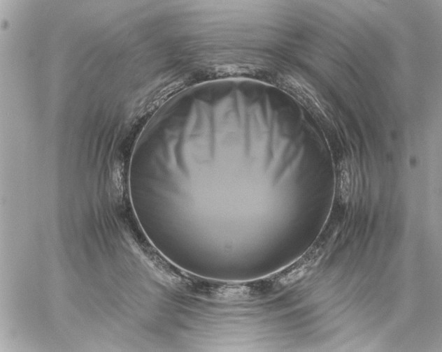 X0000059230410200510281910