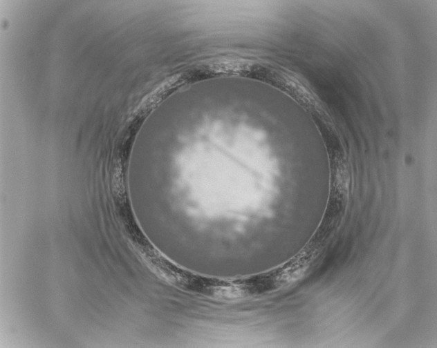 X0000059230411200510281910