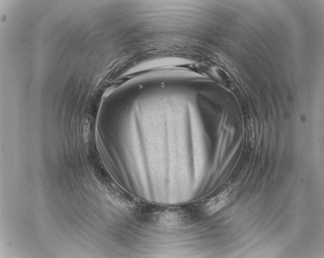 X0000059230412200510281910