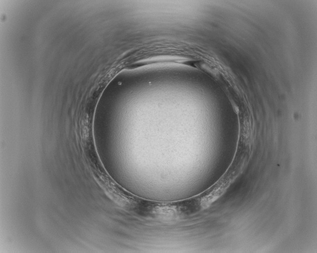 X0000059230413200510281910