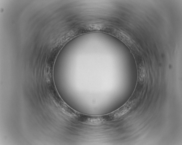 X0000059230414200510281910