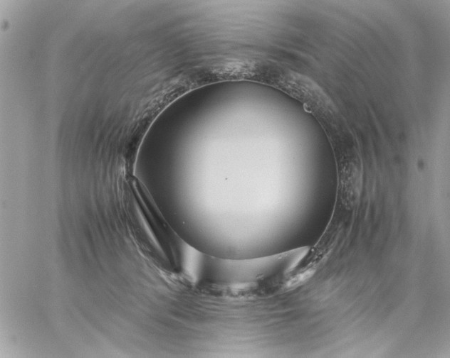 X0000059230416200510281910