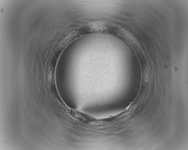 X0000059230417200510281910