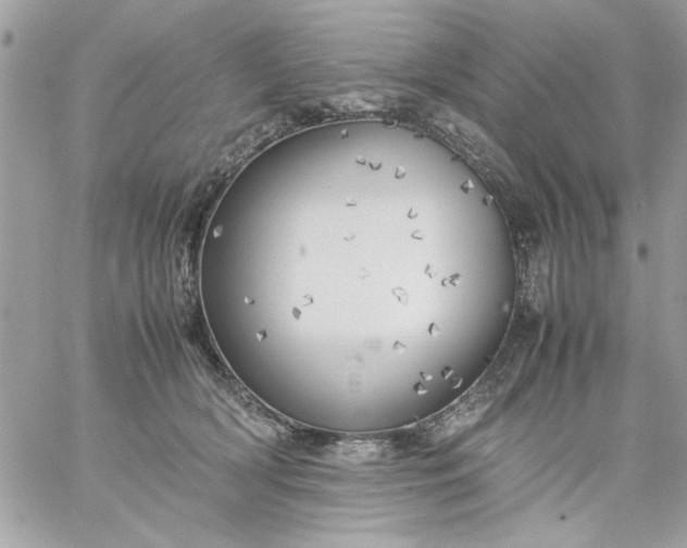 X0000059230418200510281910