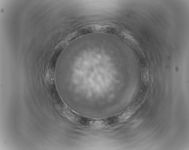 X0000059230419200510281910