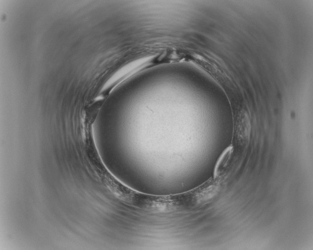 X0000059230420200510281910