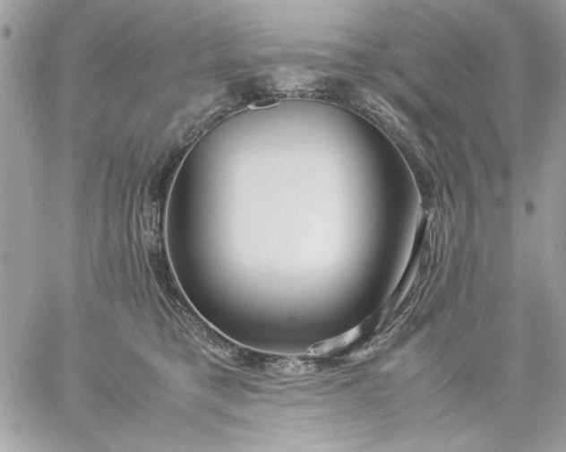 X0000059230421200510281910