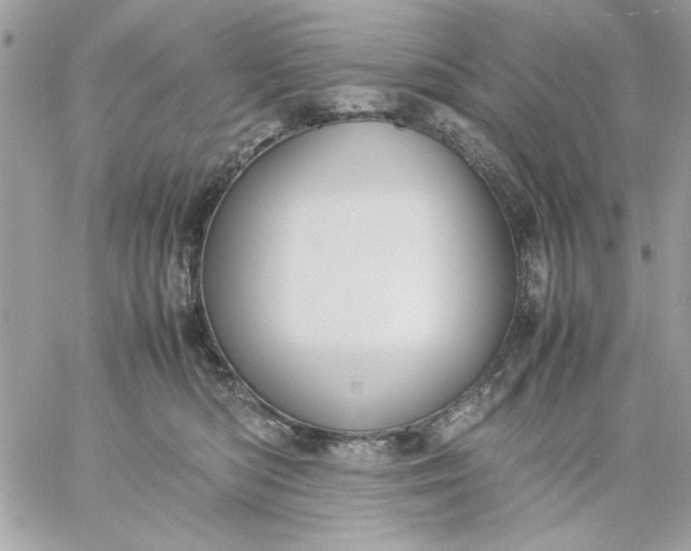 X0000059230422200510281910