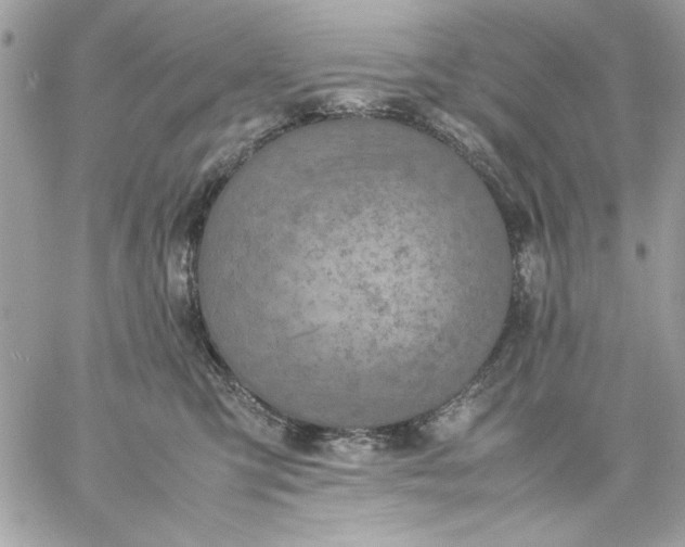 X0000059230423200510281910