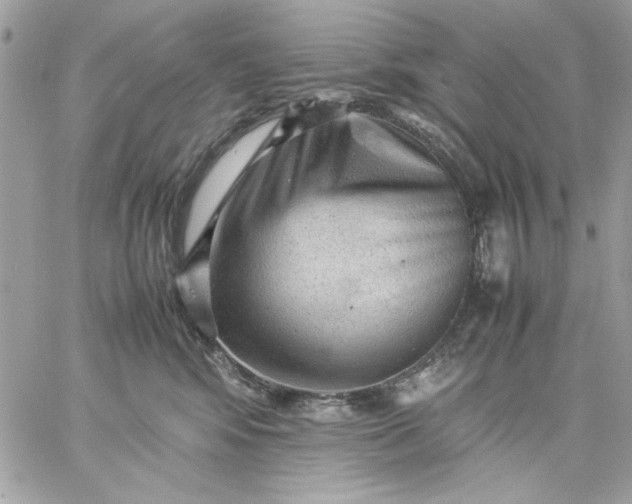 X0000059230424200510281910