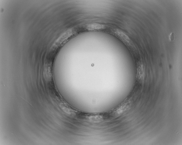 X0000059230426200510281910