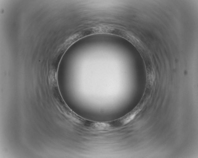 X0000059230429200510281910