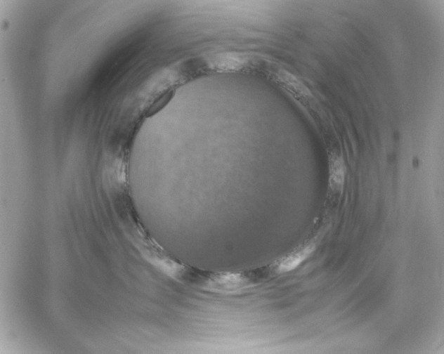 X0000059230431200510281910