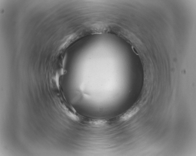 X0000059230432200510281910