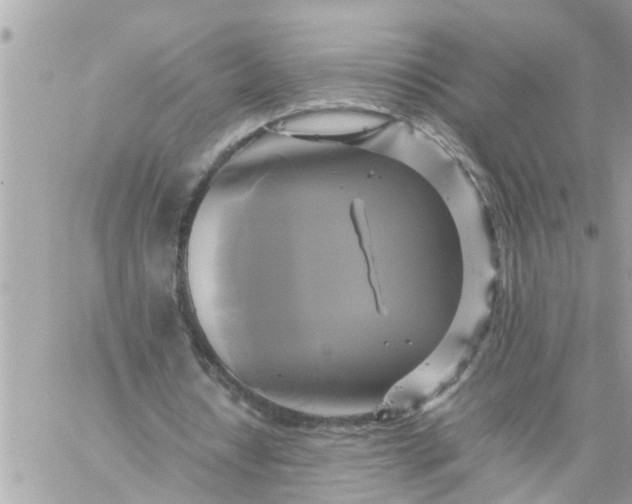 X0000059230434200510281909