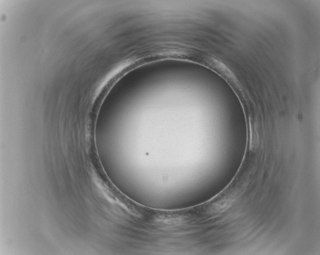 X0000059230435200510281909