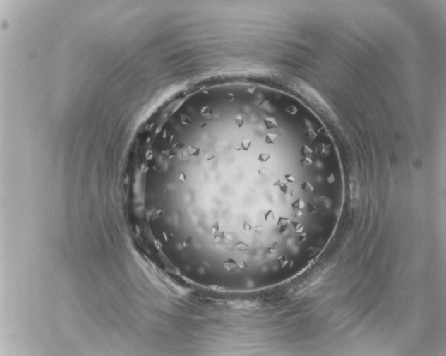 X0000059230436200510281909