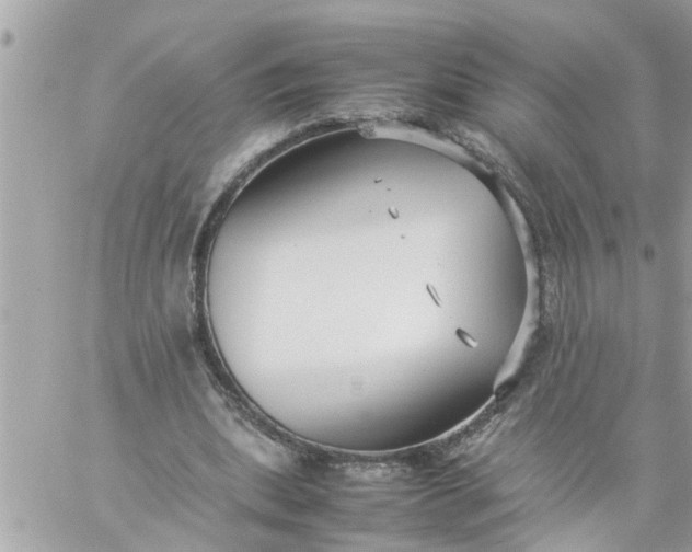 X0000059230439200510281909