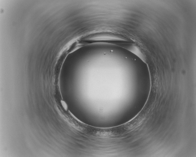 X0000059230440200510281909