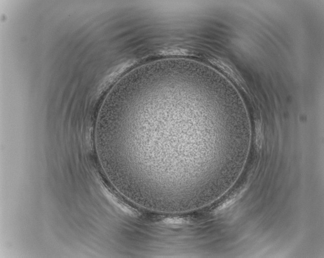 X0000059230441200510281909