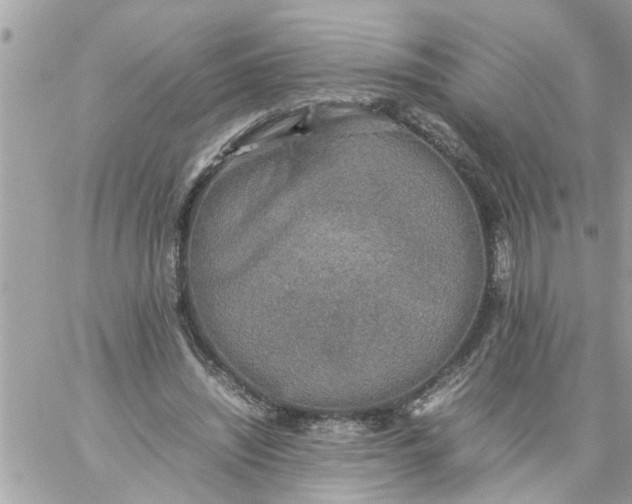 X0000059230444200510281909