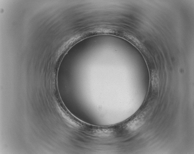 X0000059230445200510281909