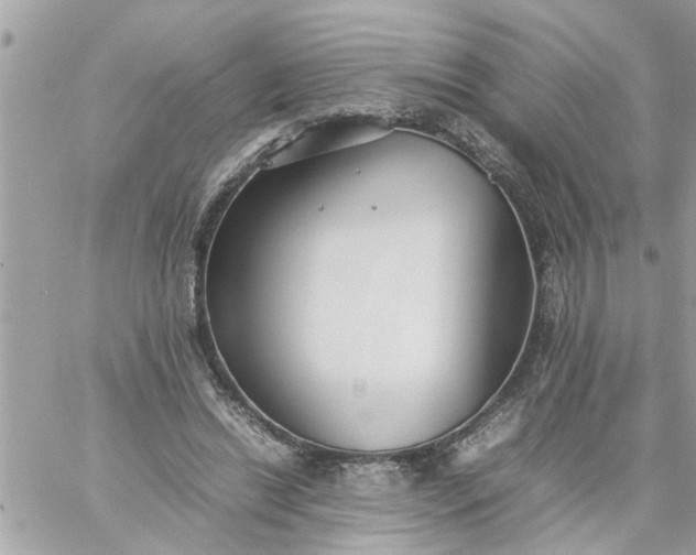 X0000059230446200510281909