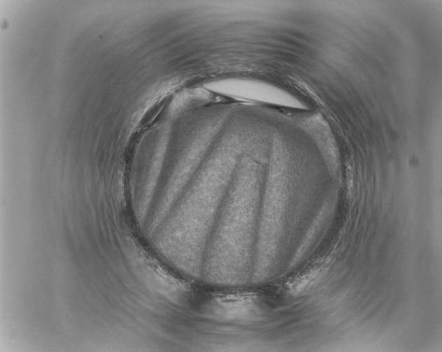 X0000059230447200510281909