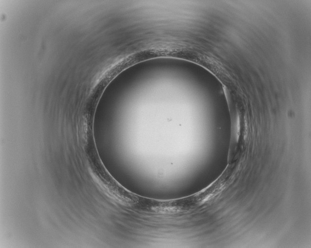 X0000059230448200510281909