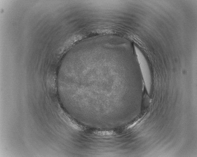 X0000059230449200510281909