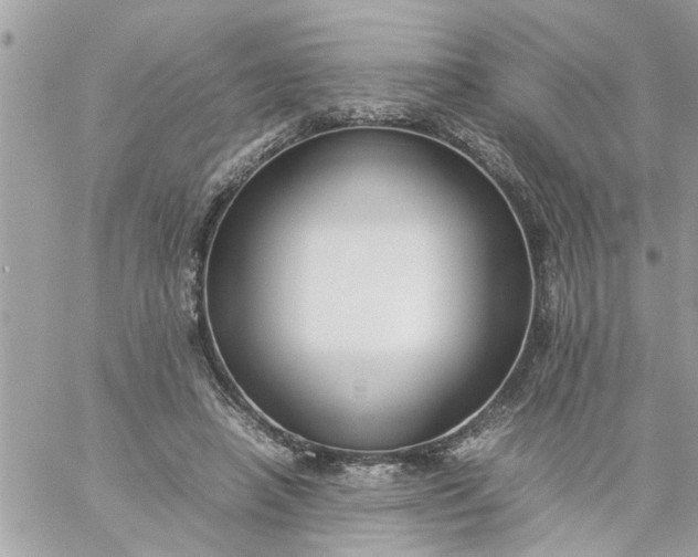 X0000059230450200510281909