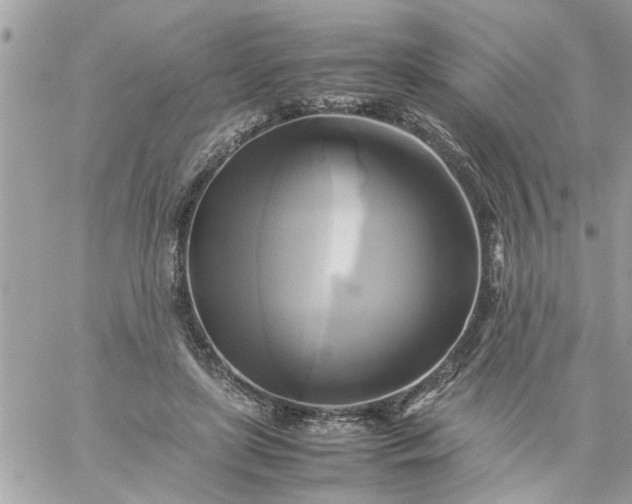 X0000059230451200510281909