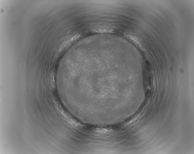 X0000059230453200510281909