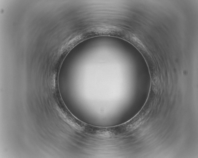 X0000059230454200510281909