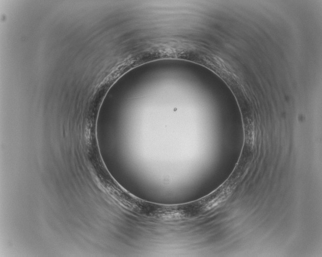 X0000059230456200510281909