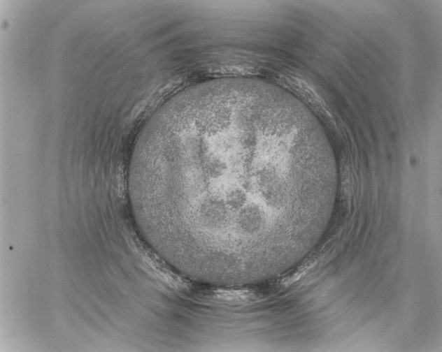 X0000059230457200510281909