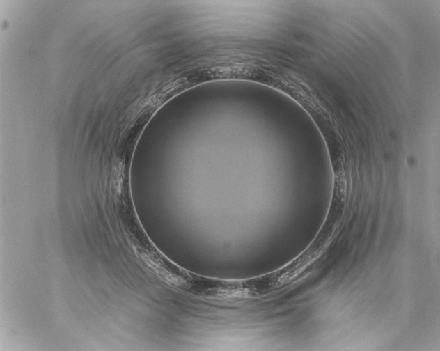 X0000059230458200510281909