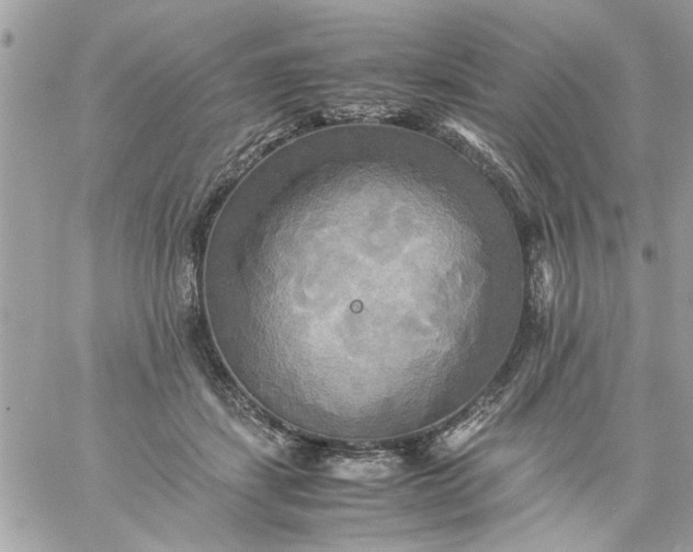 X0000059230459200510281909