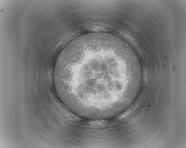 X0000059230461200510281910